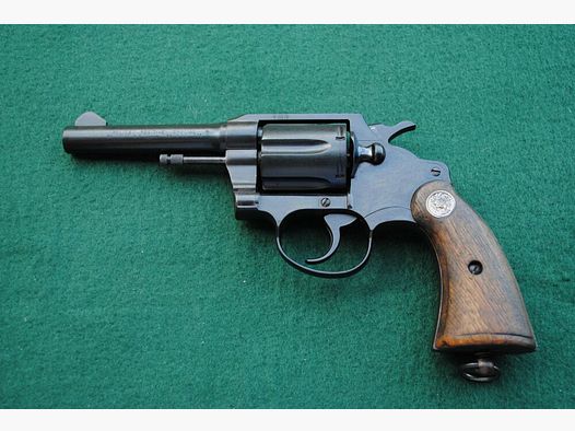 Colt Police Positive Special, Royal Hong Kong Police