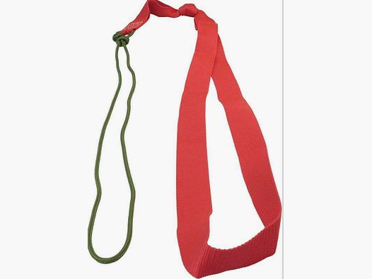 Ayuda para la recuperación de muflones