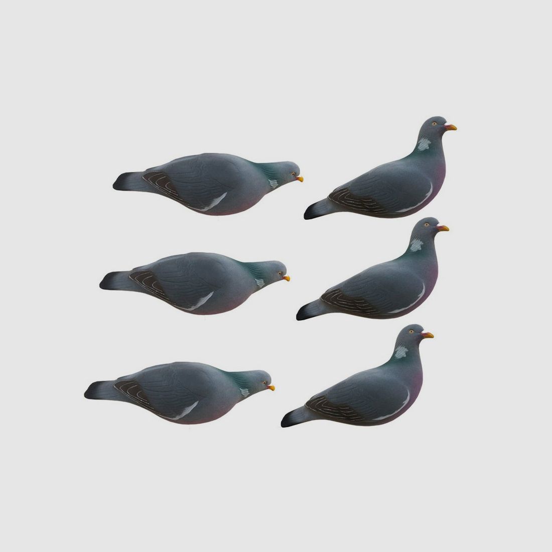 Last Pass x6 Flocked Pigeon Forms, image 1 of 3