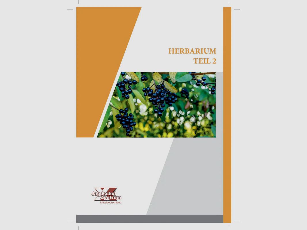 Herbarium Teil 2