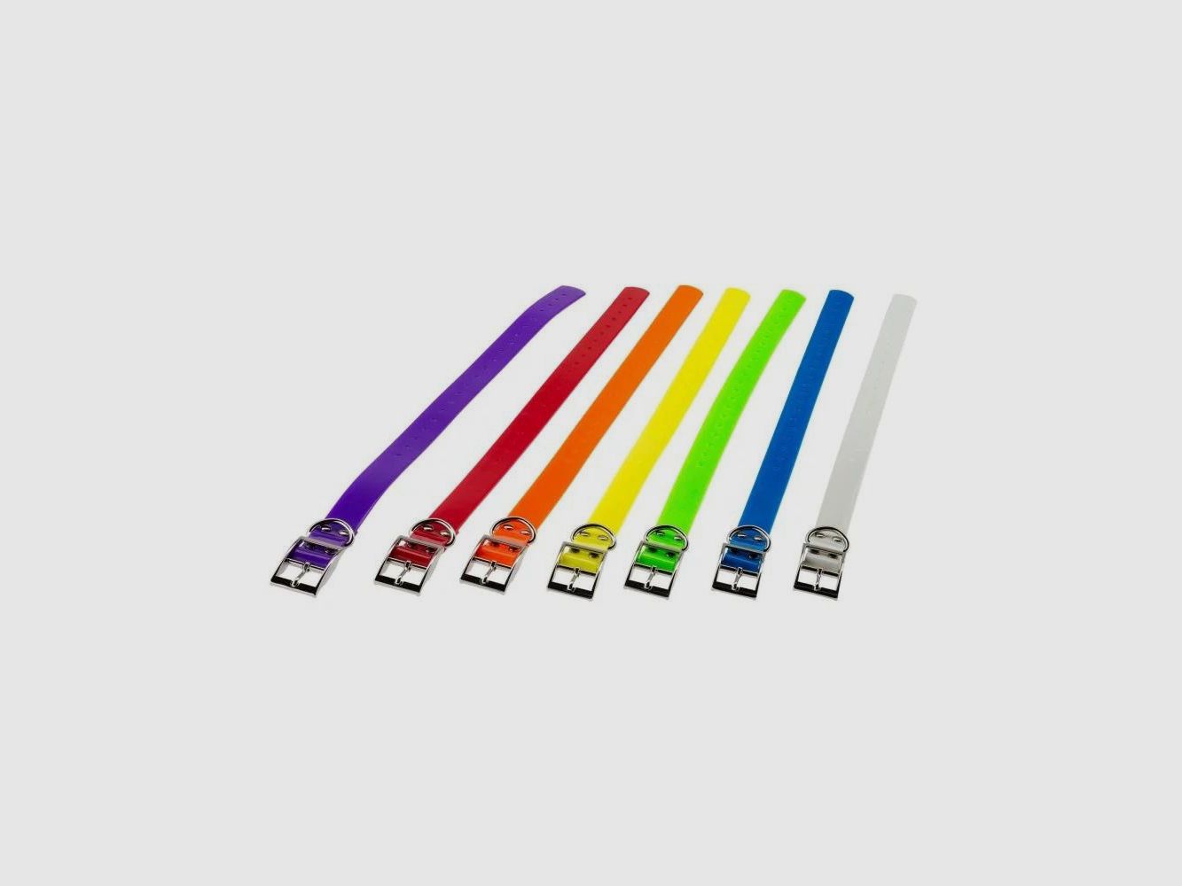 Halsband für Hunde Country 2,5 cm Polyurethan Lila - Widerstandsfähig und Bequem - Ideal für Jagd und Spaziergang, Bild 1 von 5