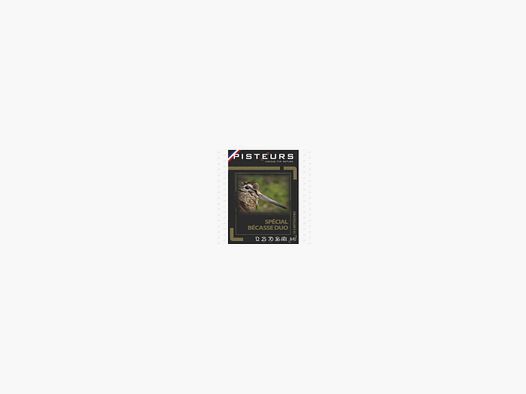 PATRONEN PISTEURS SPECIAL BECASSE DUO 36 GRS ARX Kal. 12/70 Nr. 8 10
