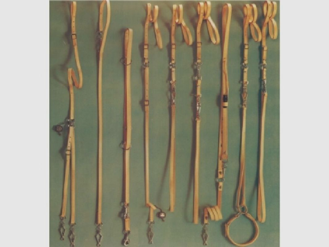 AKAH Polizeileine aus Fahlleder