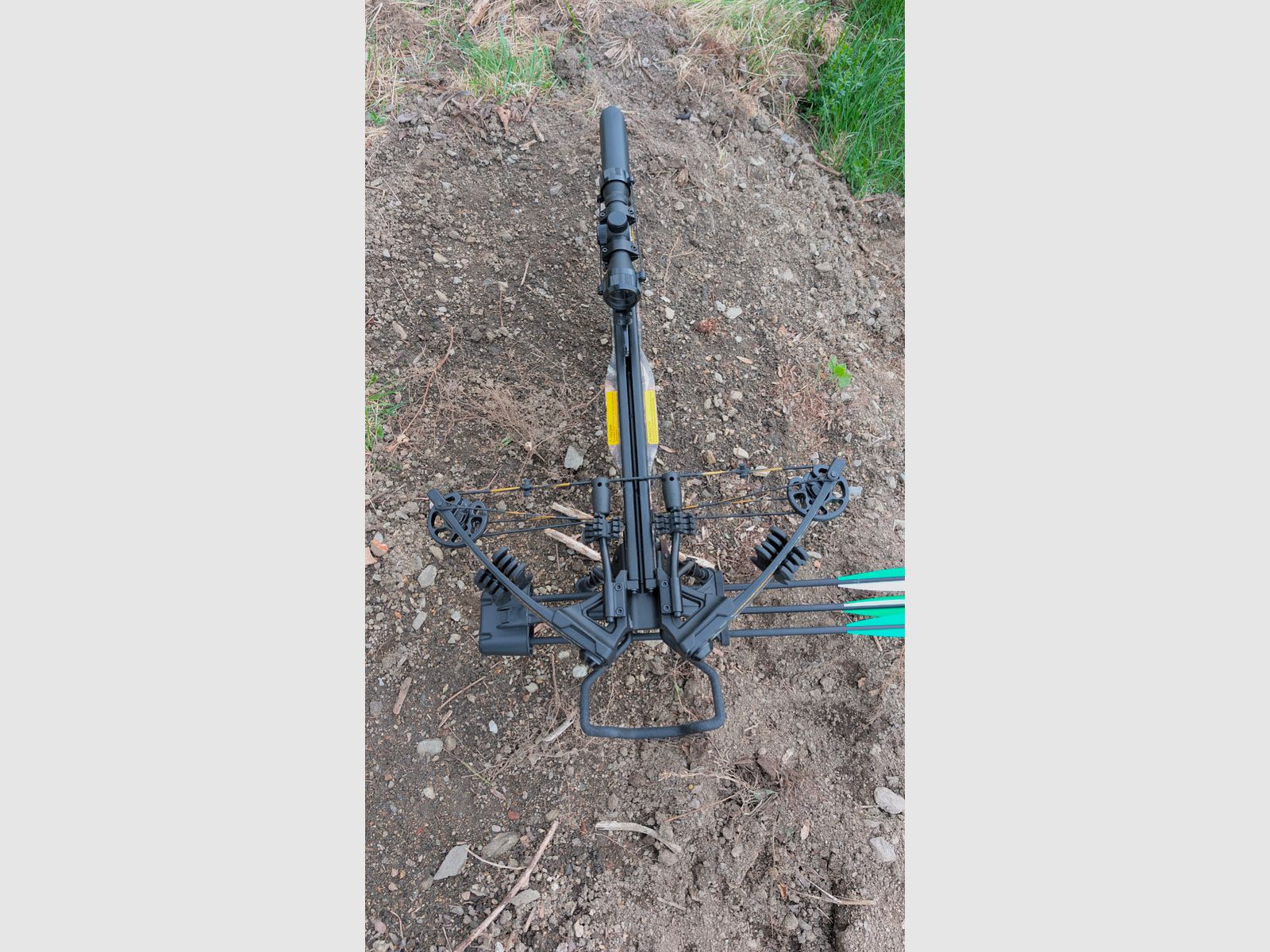 Lame d'arbalète EK Compound 175 lbs camo