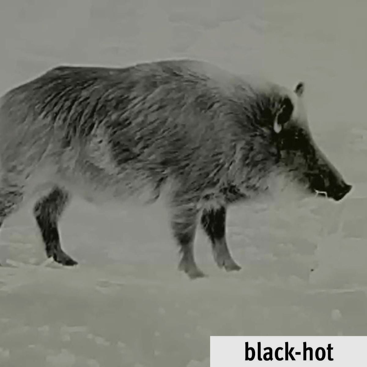 Lahoux Wärmebildoptik Horus Elite