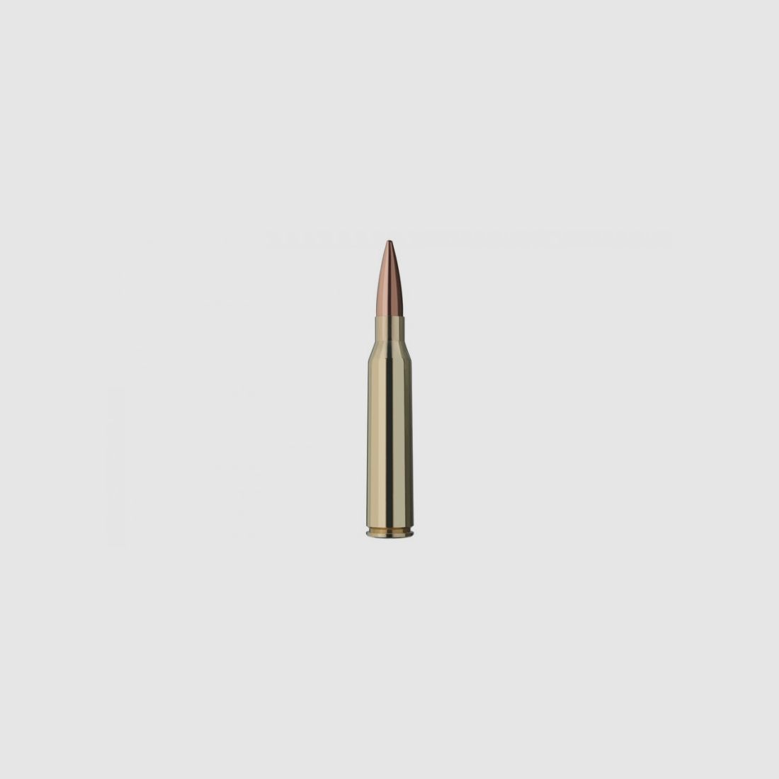 RWS 338 LAP MAG 300 GRS / 19,4 G TARGET ELITE PLUS 20 STK, Bild 2 von 2