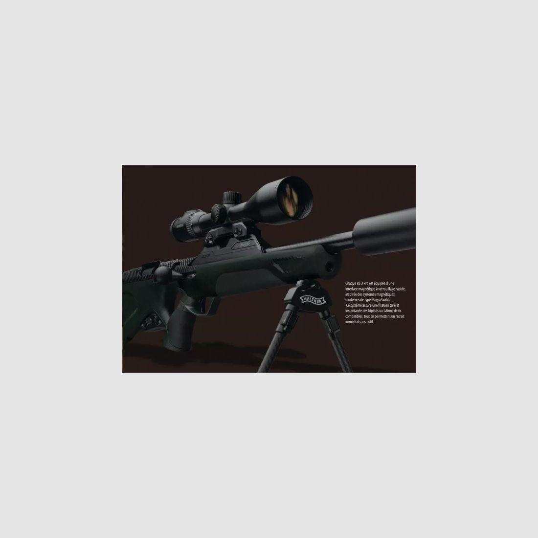 Carabine RS3 PRO CHESTNUT Cal.30-06 WALTHER, image 5 sur 13