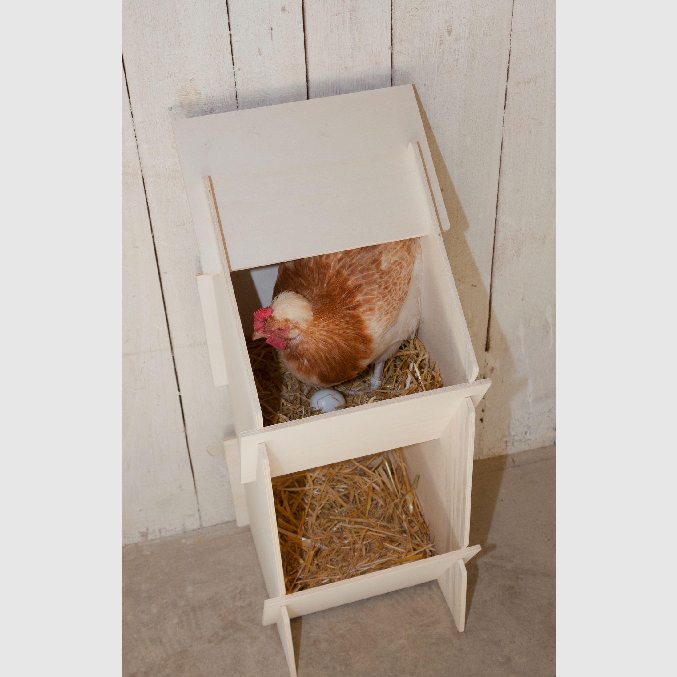 Chicken nesting box made of wood