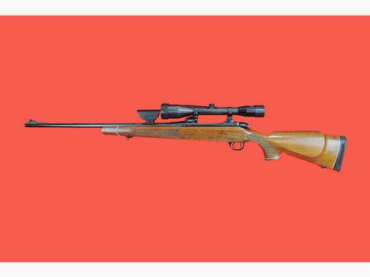 BSA