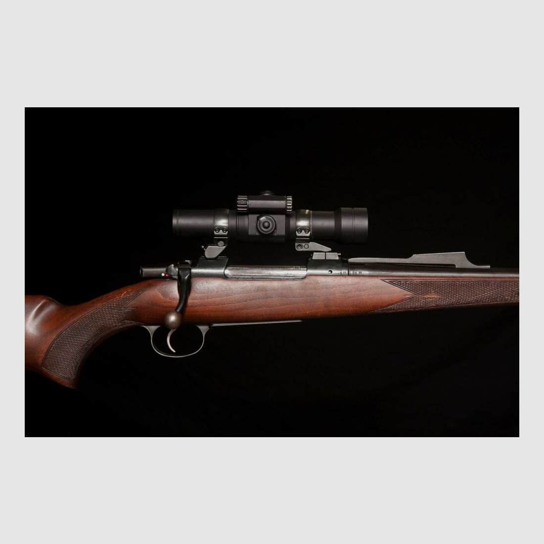 CZ repeater, ideal weapon for young hunters, swivel mount double version