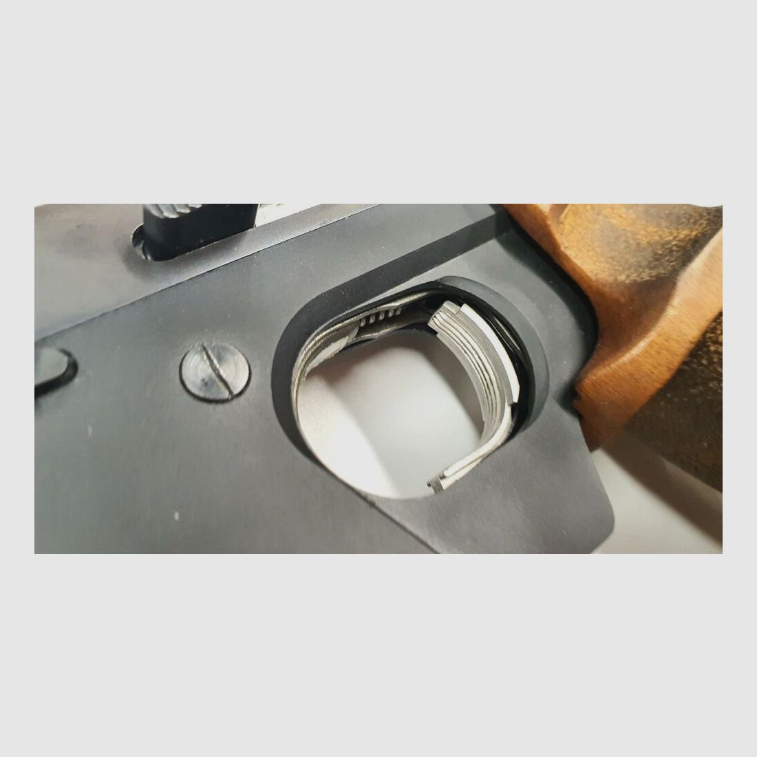 Walther GSP inkl. Nill Griffschalen