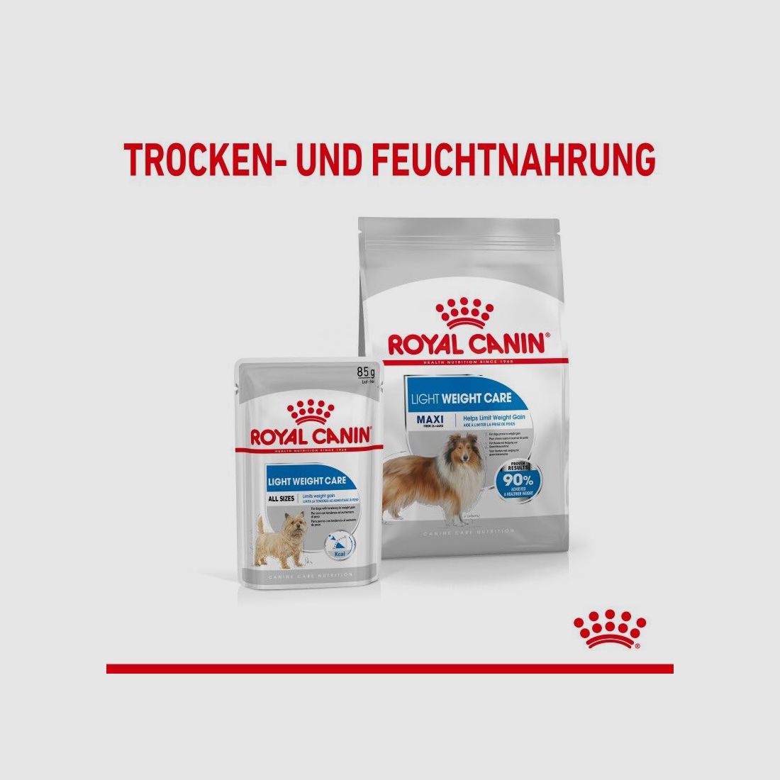 ROYAL CANIN Trockenfutter Light Weight Care Maxi für zu Übergewicht neigenden Hunden