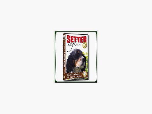 SETTER Englisch 3 zur Jagd und im Test mit den Champion SETTERN