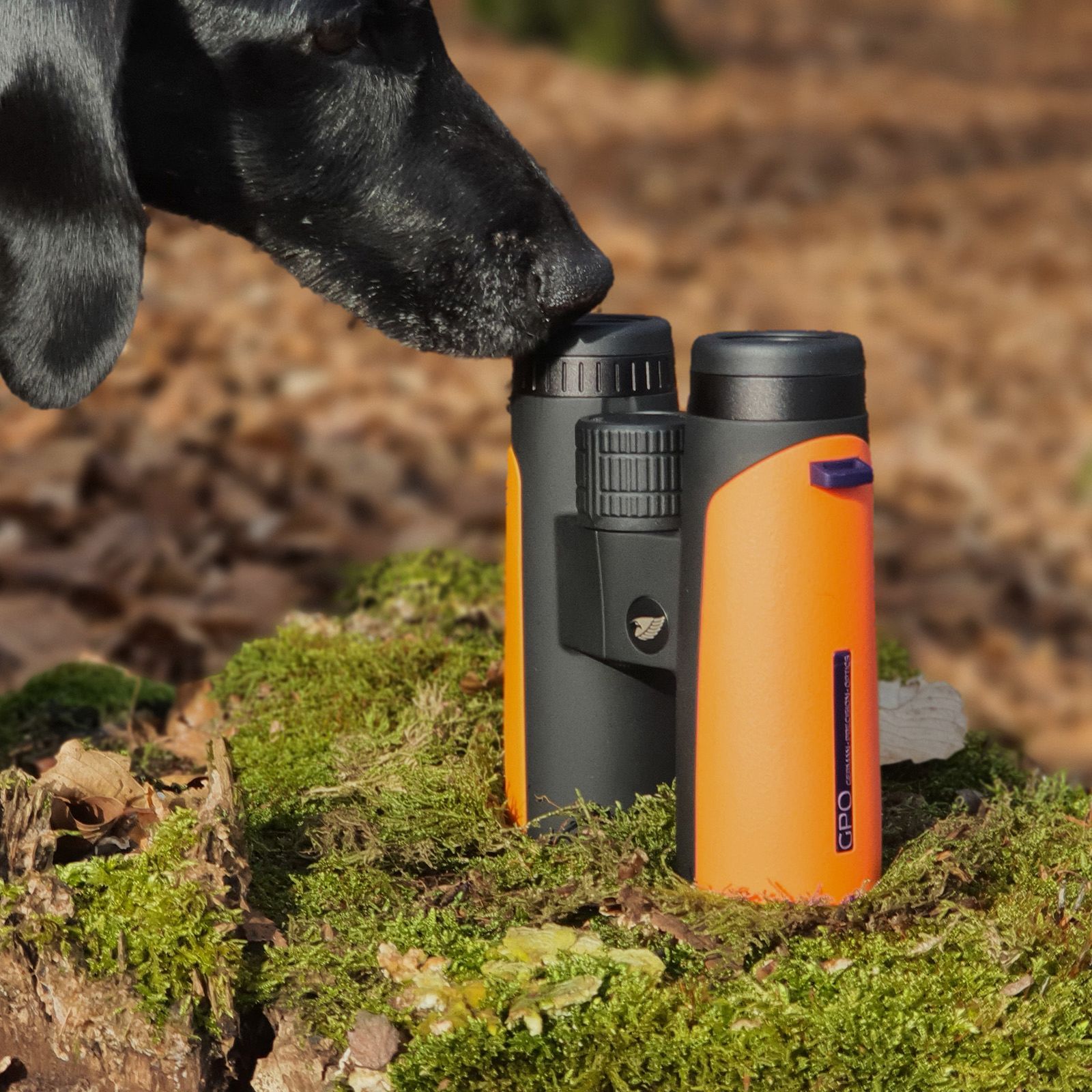 GPO Verrekijker Passion™ ED 8x42 oranje