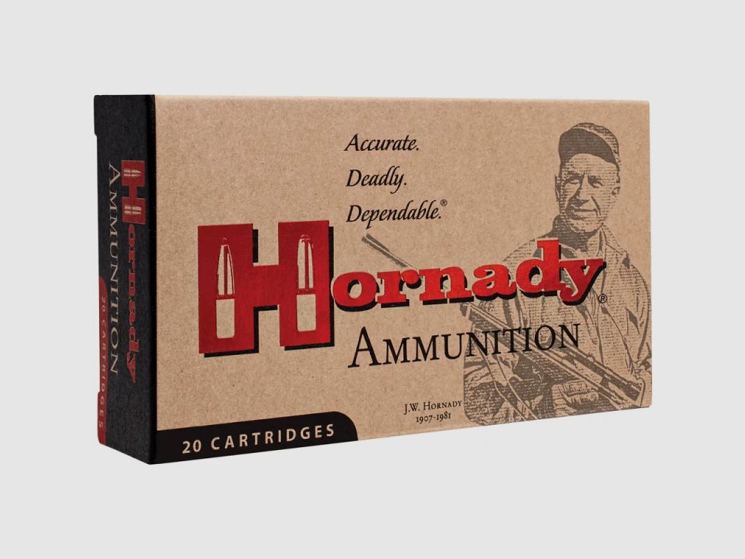 HORNADY .9,3X62 GMX 250GR rifle ammunition