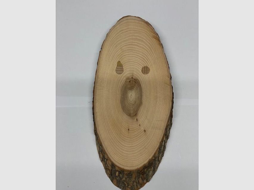 Scudo araldico 21cmx9cm
