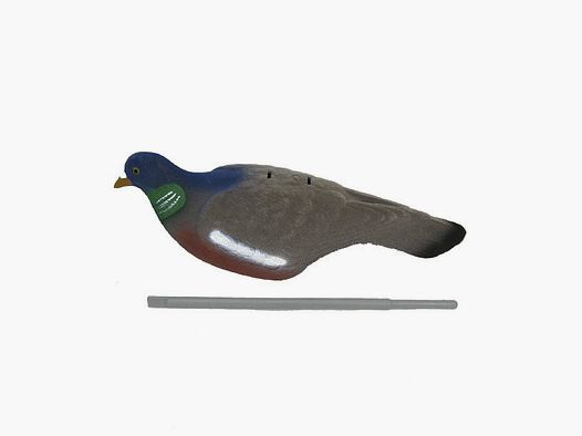 Dove half shell