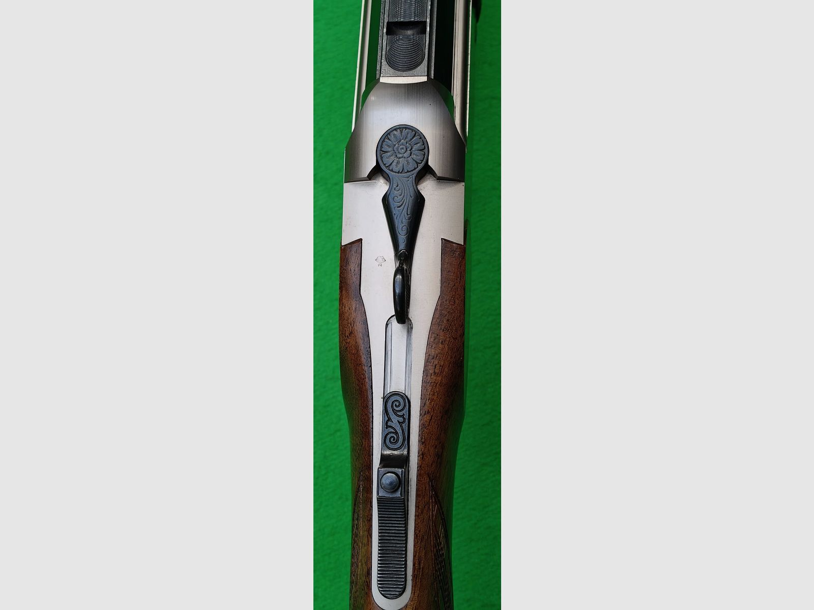 Blaser BBF 95 5,6x50R Mag. 12/70 con visor en montaje oscilante