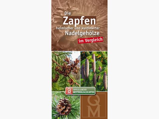 Bestimmungskarte "Die Zapfen heimischer und kultivierter Nadelgehölze im Vergleich"
