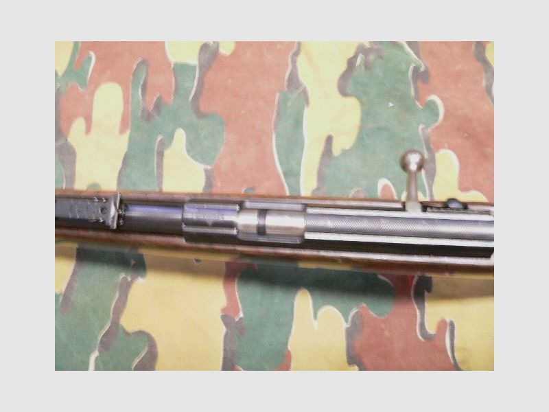 JG Anschütz Ulm 22lfb