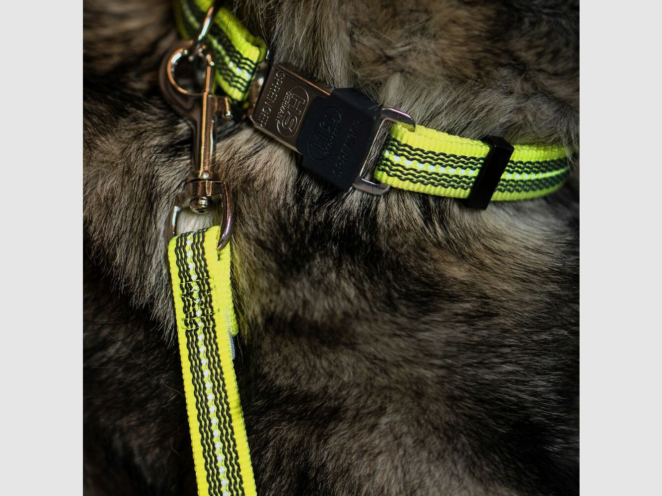 Sprenger Rubberized dog leash without hand strap (Signal yellow – length 1 m), image 5 of 5