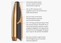 Blaser 80401264 8x57 IRS CDP 12,7g 196grs. Langwaffenmmunition