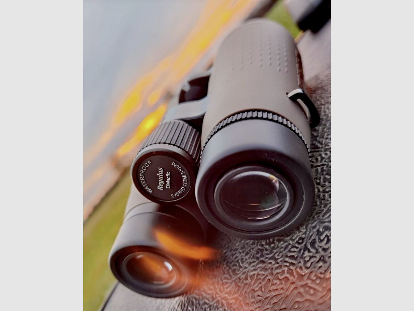 Ddoptics binoculars-KW Regulus 8x56 HD with case and Niggeloh carrying strap