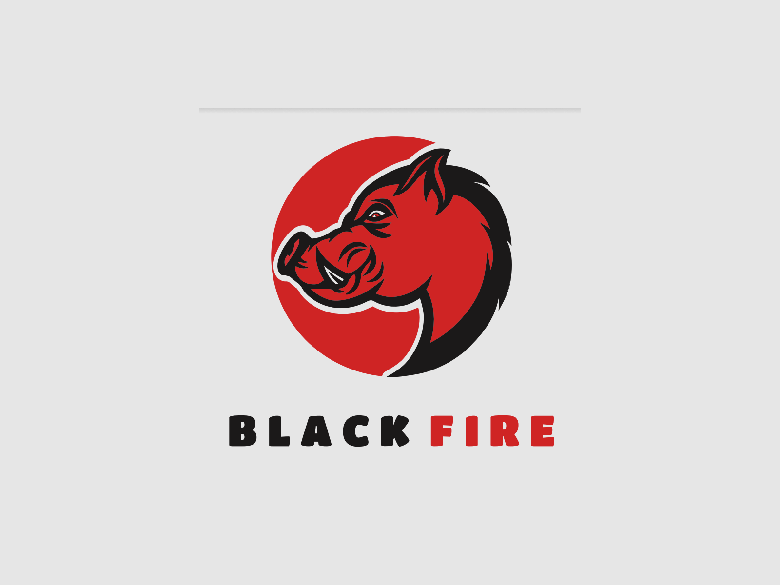 BLACK FIRE Original Buchenholzteer als Box 6x0,5 Liter