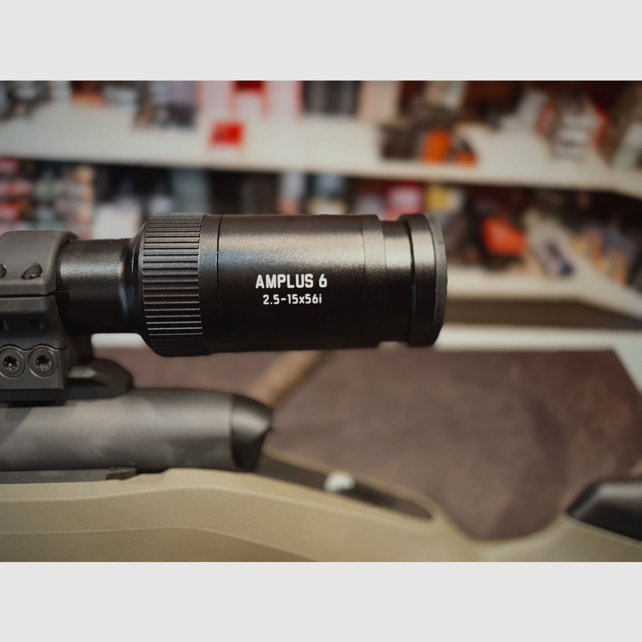 Steyr MS Wild - .308Win - Leica Amplus 2,5-15X56, Bild 4 von 9