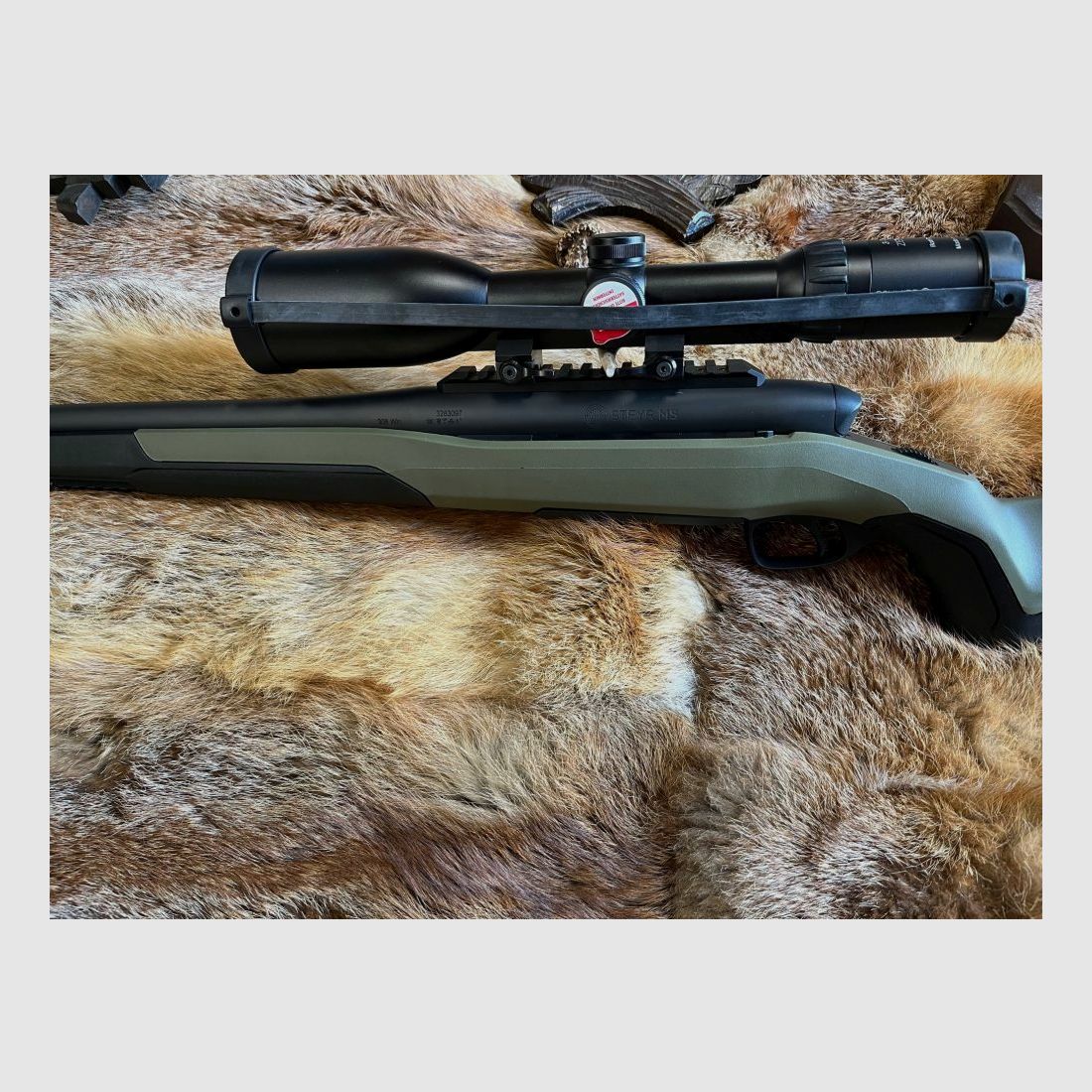 Steyr MS Wild