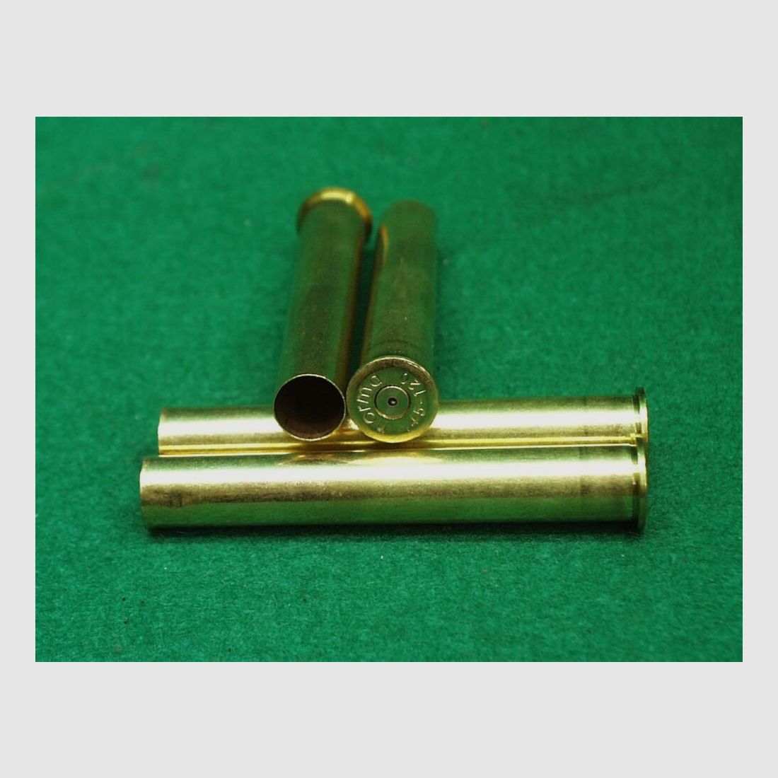 Saguaro Hülsen 45-120