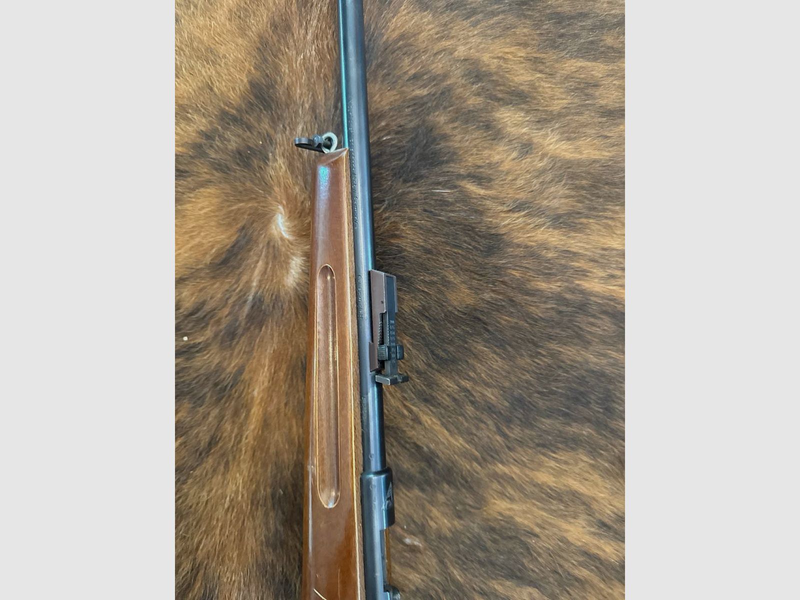 VOERE carabina a ripetizione cal. 6 mm Flobert con calcio in legno. Carabina classica per piccoli calibri