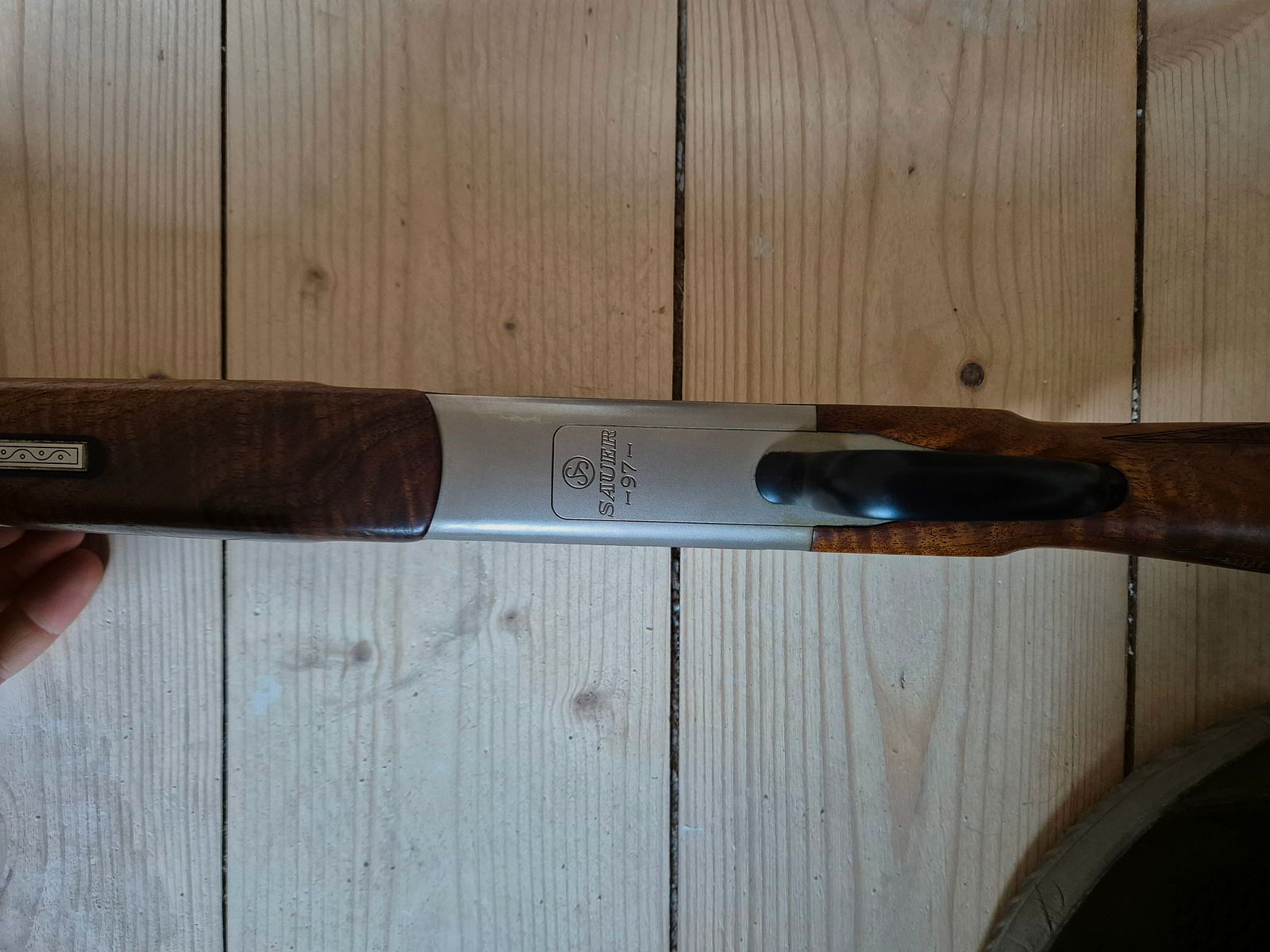 Doppietta Bock Blaser / Sauer 97 8x57IRS con capsule e Aimpoint