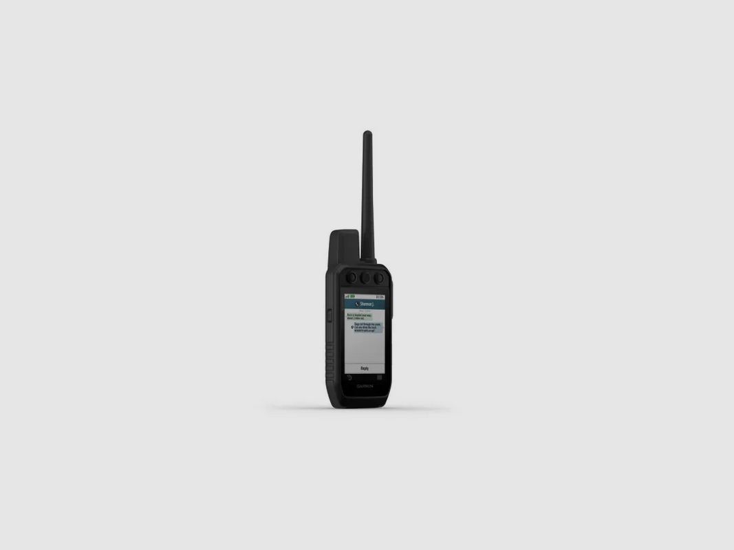 Palmare Garmin Alpha 200i K, Bild 2 von 6