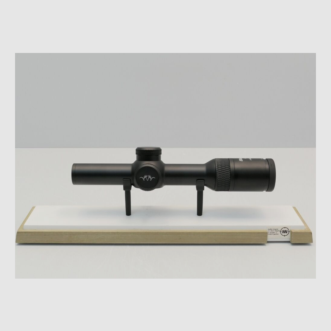 Blaser B2 Ringmontage