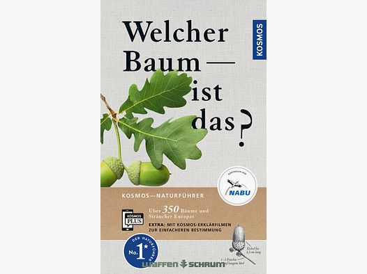 Kosmos Welke boom is dat? Spohn