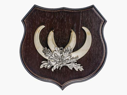 BOAR WEAPON SHIELD OAK DARK 13CM