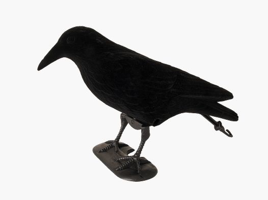 5etta Bulvan Crow Schwarz