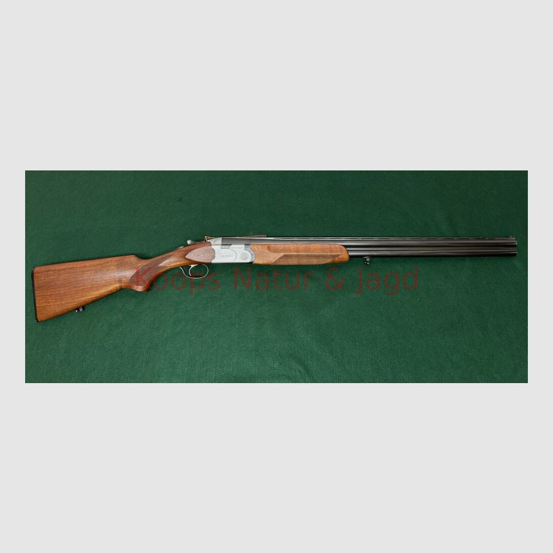 Sauer/Beretta