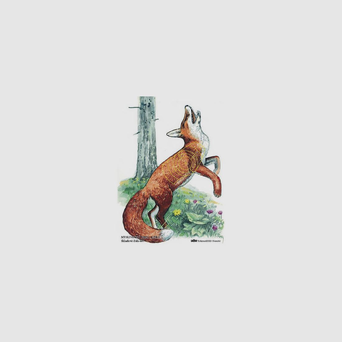 Jagdzielscheibe Fuchs 10stk.