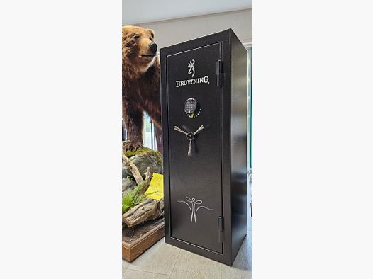 BROWNING DEFENDER 12 GUN SAFE