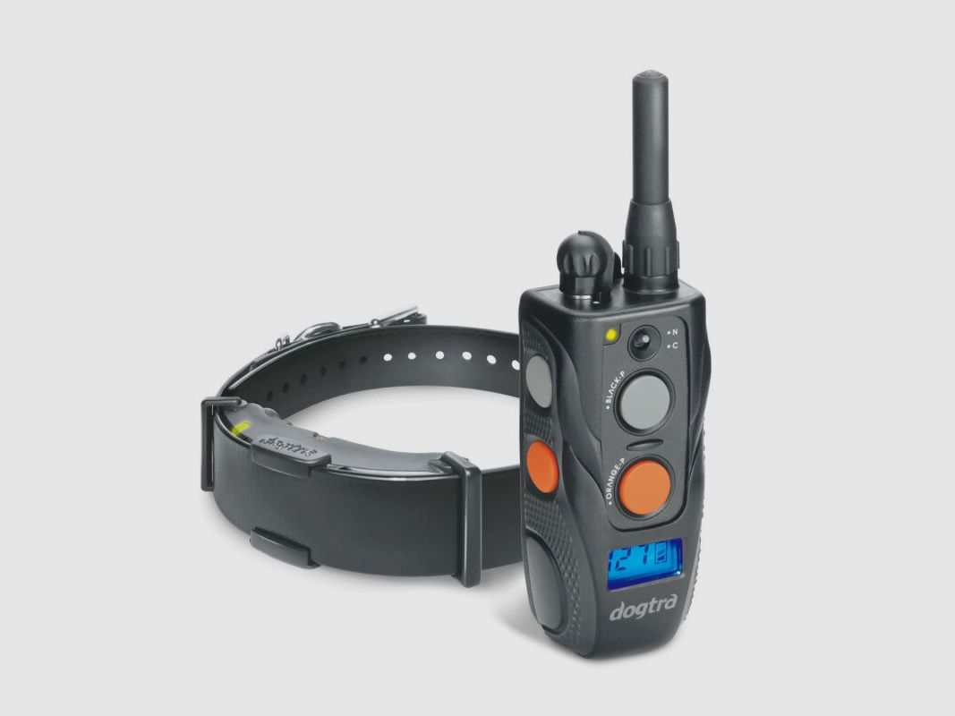 Dogtra ARC 800 Hundetraining Ausbildung