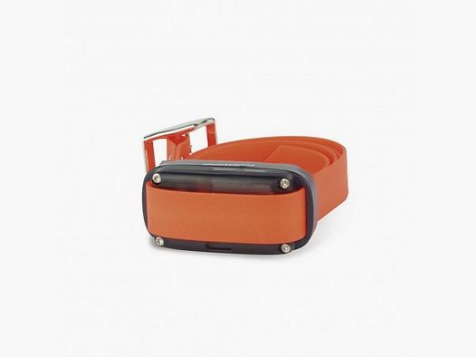 Collar adicional Dogtrace Professional One