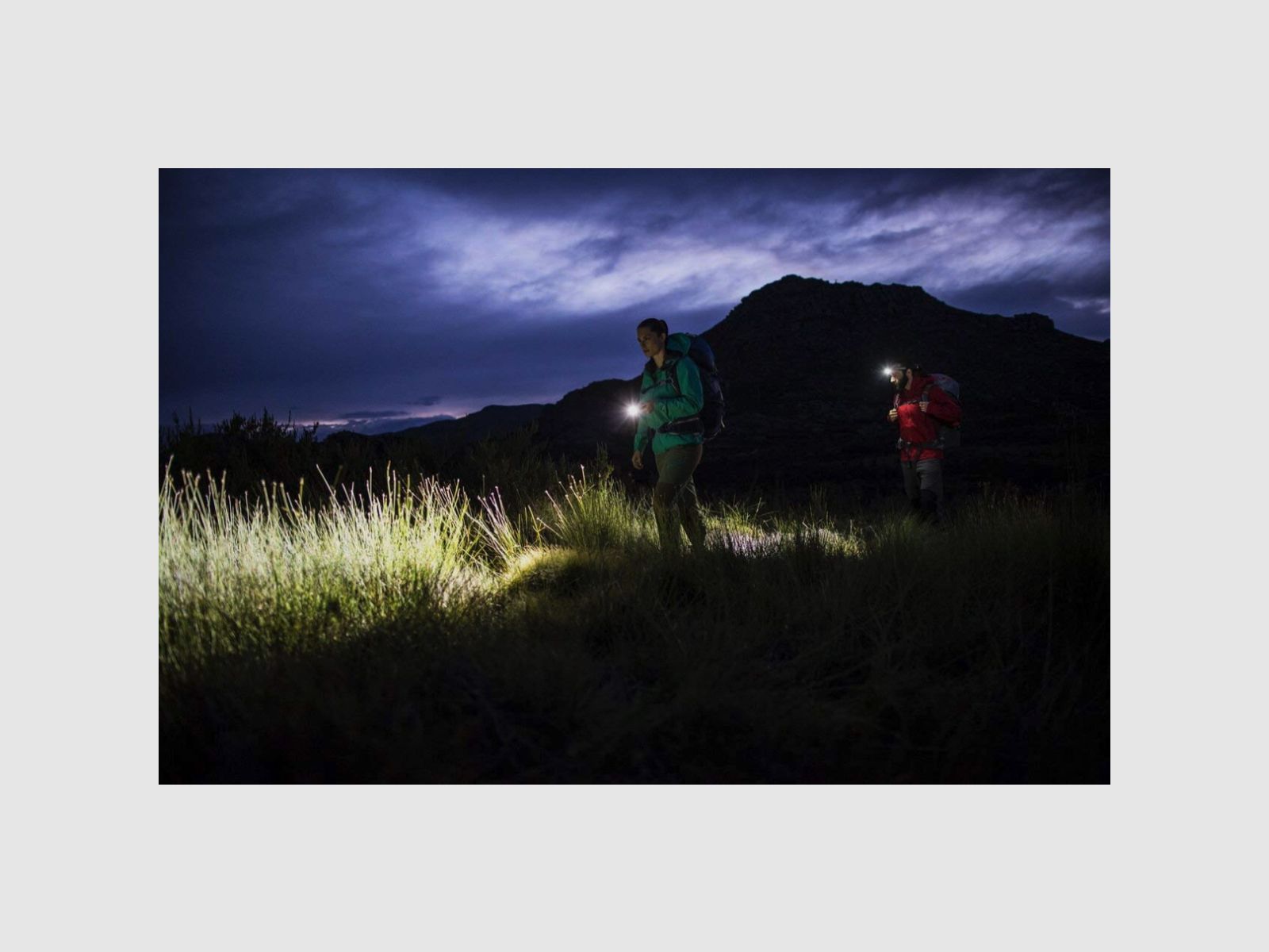 LEDLENSER Taschenlampe MT14