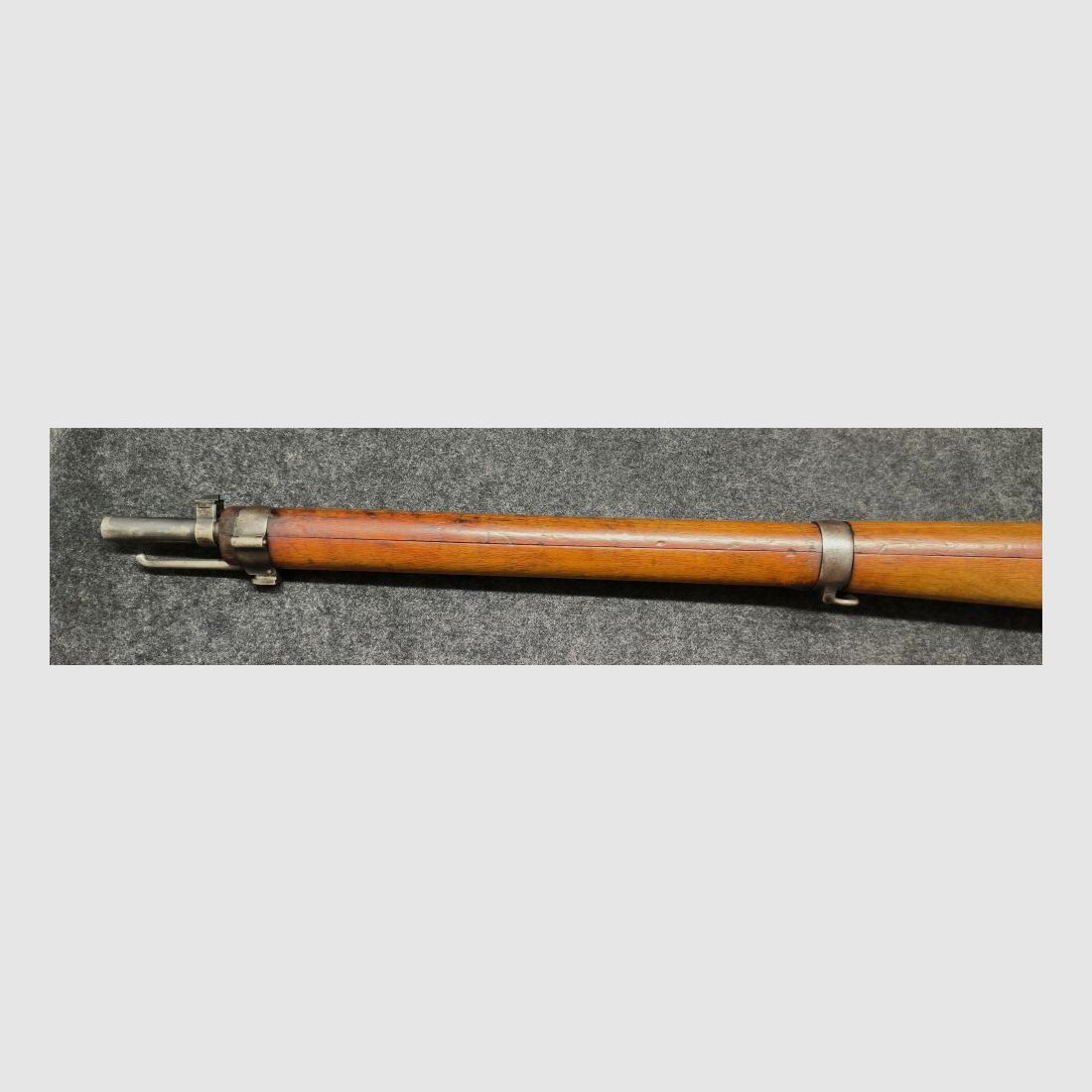 Schmidt Rubin G11