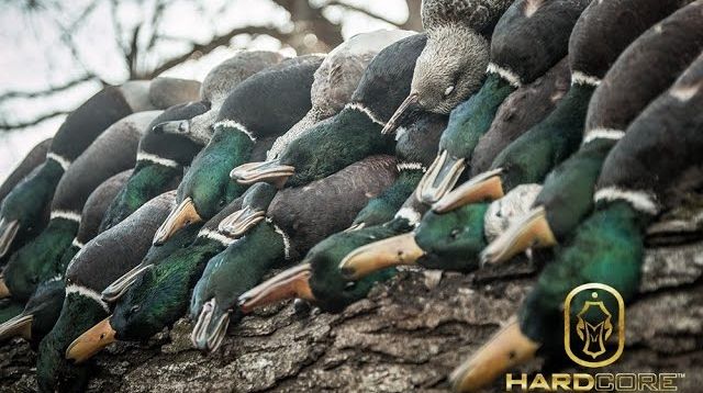 Frozen Sheetwater Duck Hunting: Hard Core Waterfowl TV Episode 4