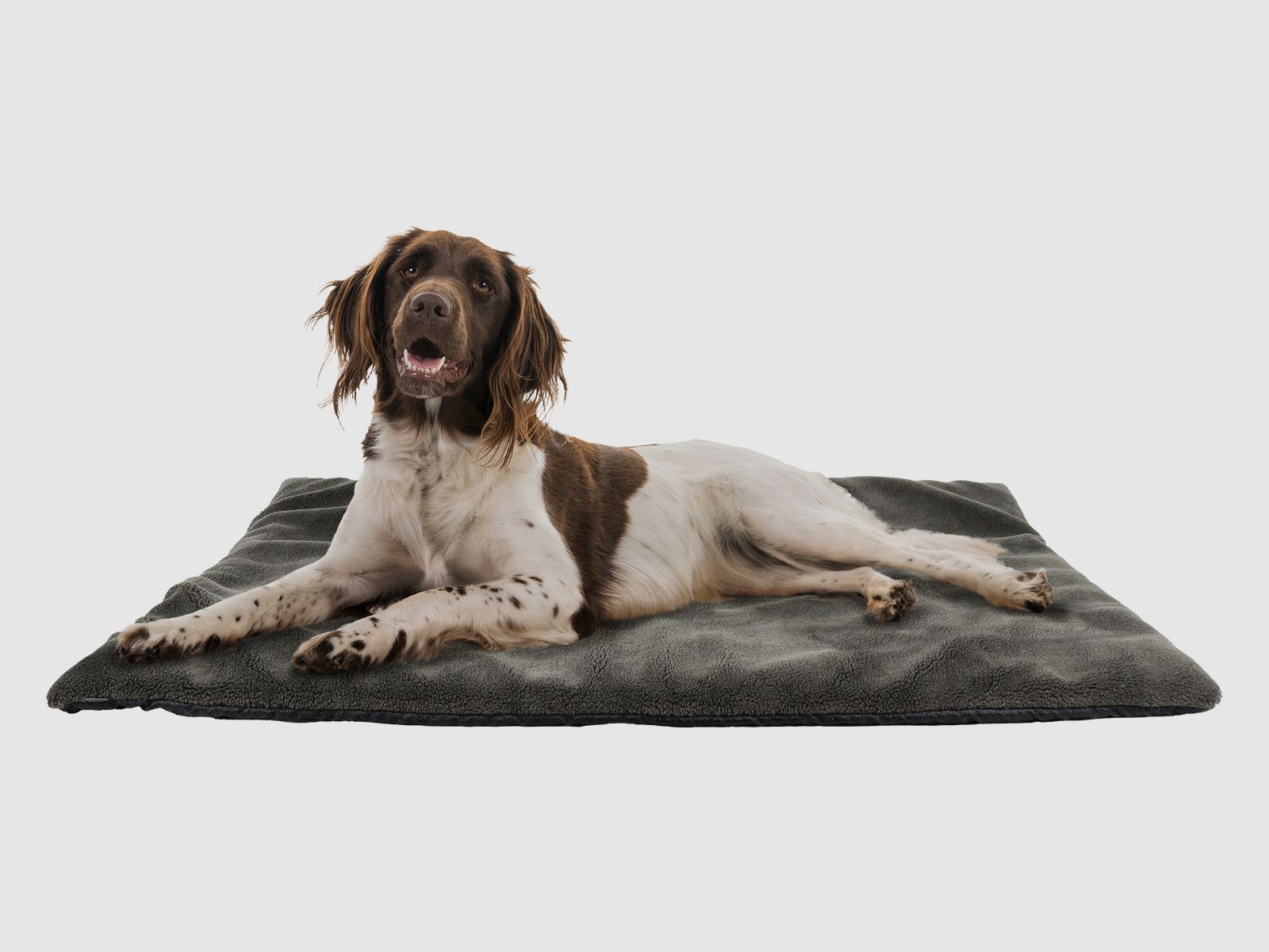 Hunde-Thermobett 100x120 cm
