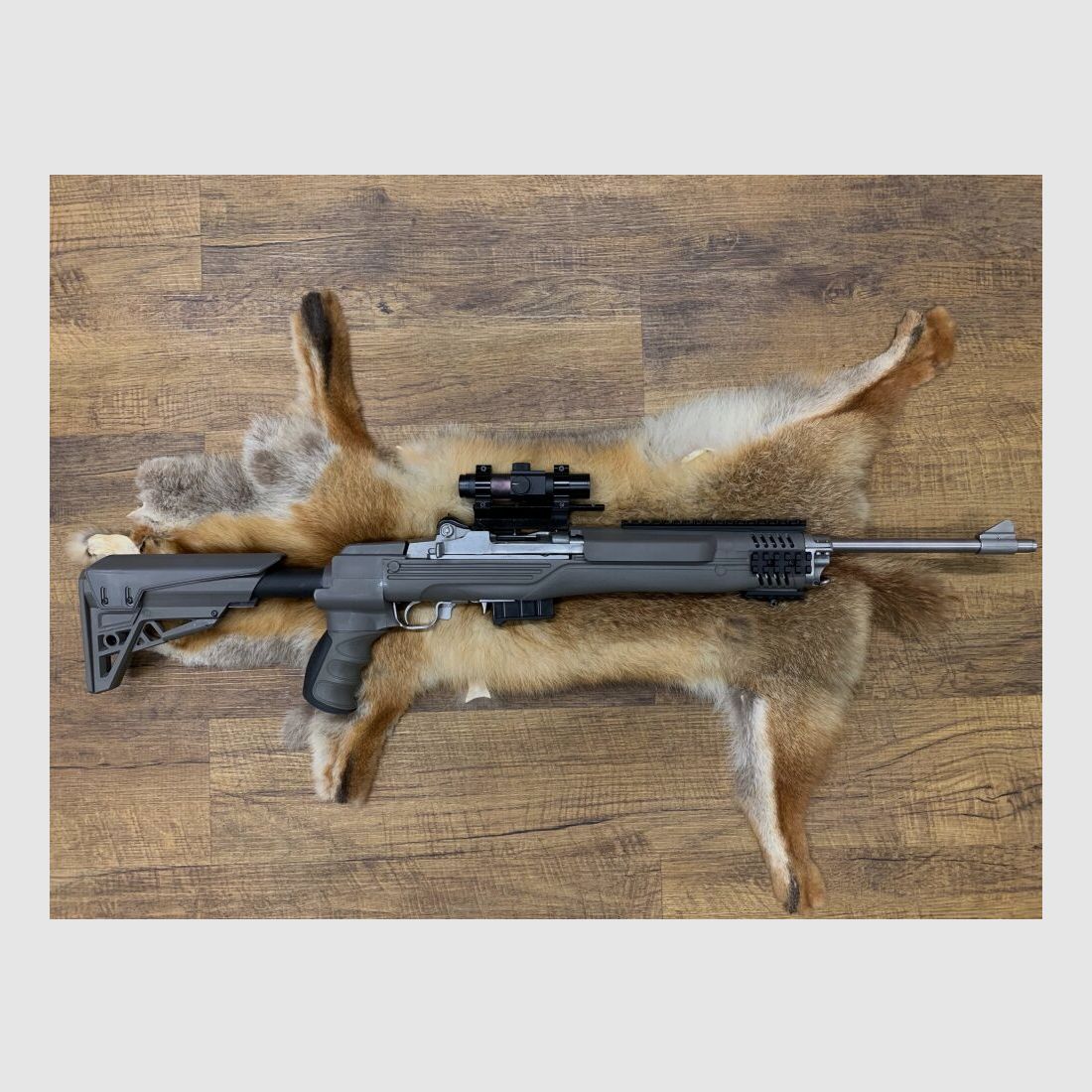 Ruger Mini-14