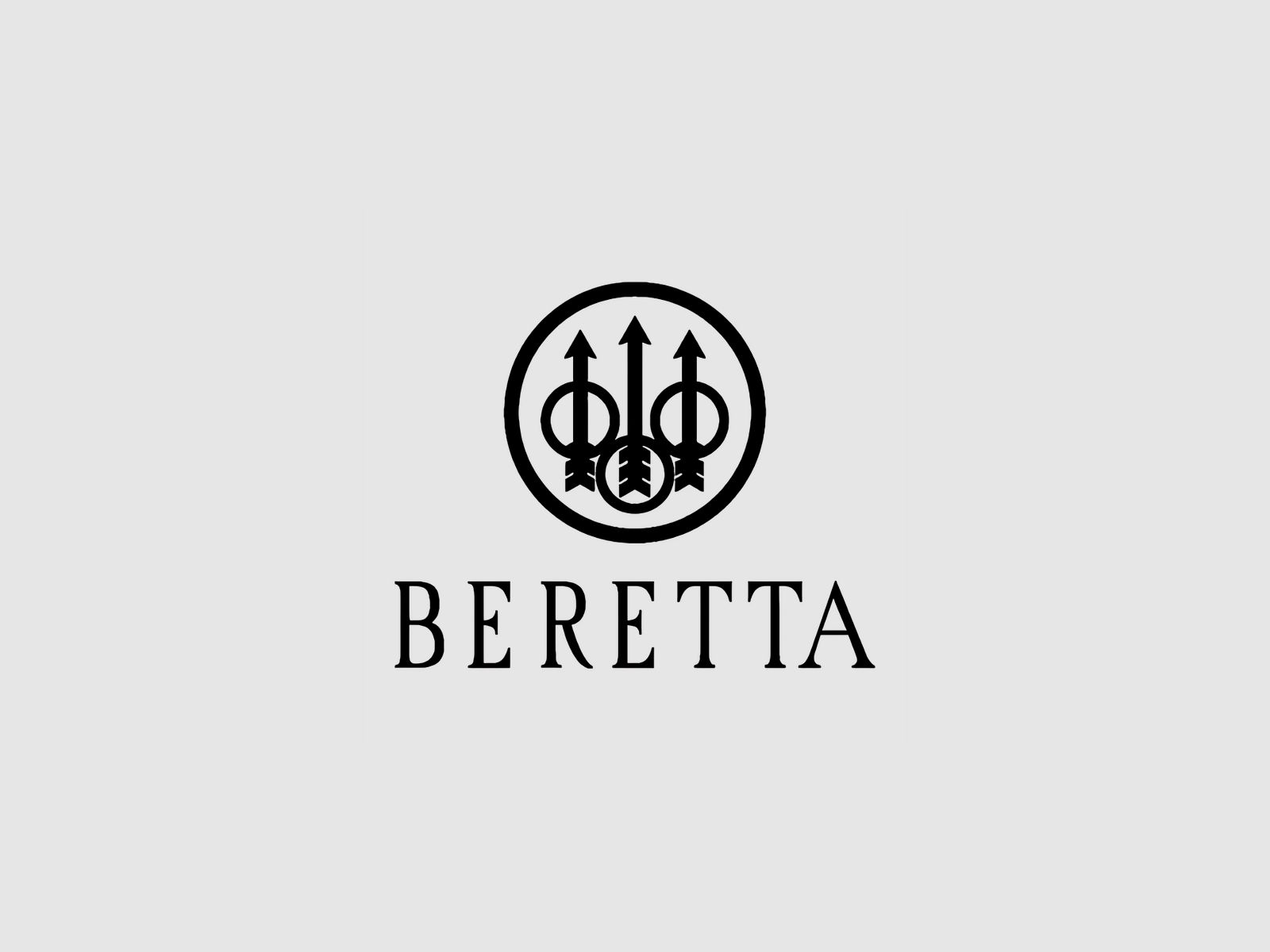 Beretta 70 Rear Sight