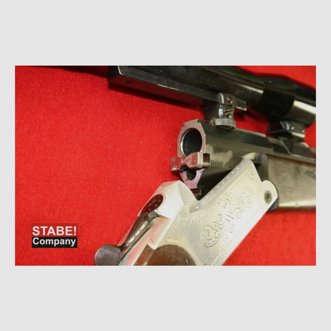 Blaser Modell 670